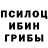 Псилоцибиновые грибы ЛСД HENNADII SAPAI