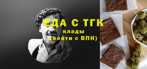 хмурый Осинники