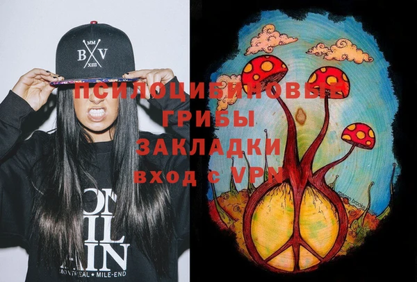 экстази Пересвет